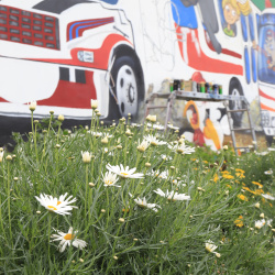 mirador del paraíso - 22 de mayo