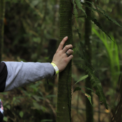 CAMINATA PARQUE NATURAL CHICAQUE