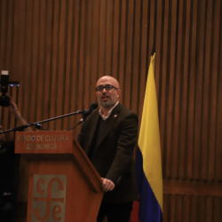 día de la mujer afro